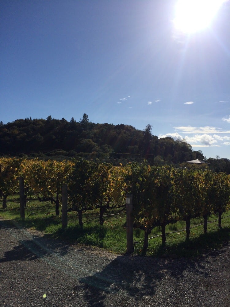 Cliff Lede Vineyards Wineries Yountville, CA Reviews Photos Yelp