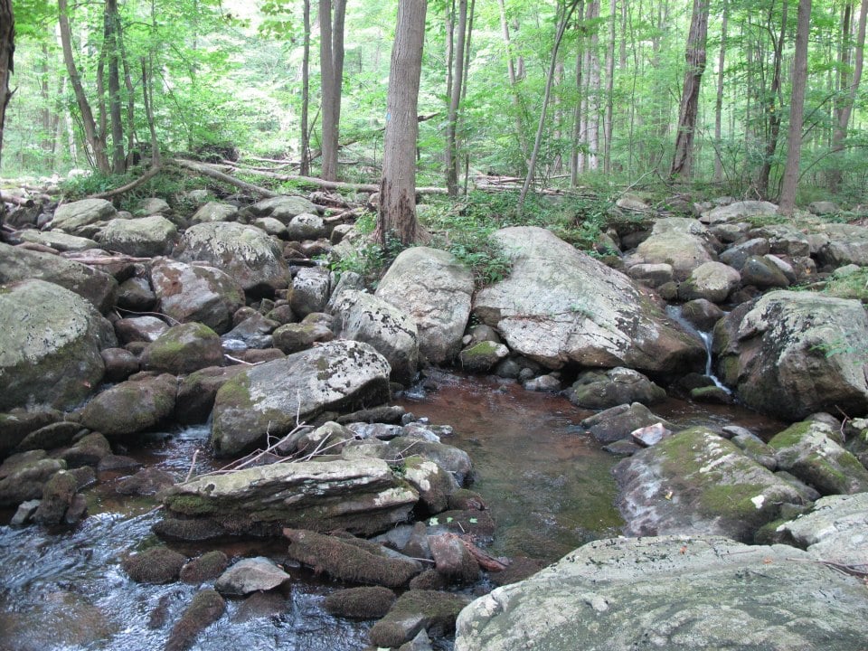 Farny State Park Hiking Rockaway Township, NJ Yelp