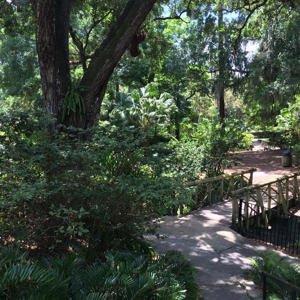 Dickson Azalea Park 53 Photos Parks Lawsona / Fern Creek