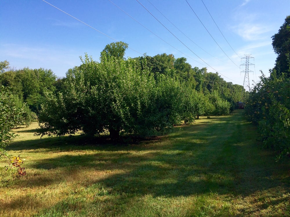 Riamede Farm 111 Photos Farmers Market 122 Oakdale Rd Chester
