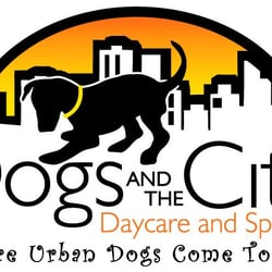 spa city puppies dogs and the city closed kennels pet sitting italy san diego ca spa city puppies dogs and the city closed kennels pet sitting italy san diego ca