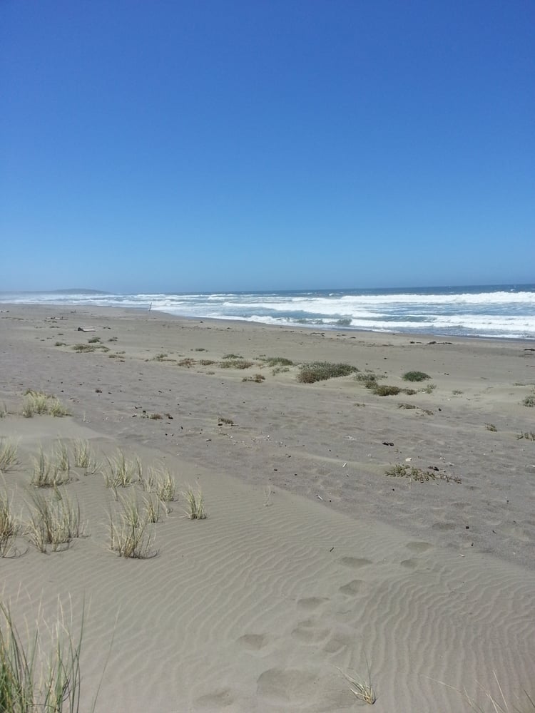 Sonoma Coast State Beach Salmon Creek 15 Photos Beaches Bodega
