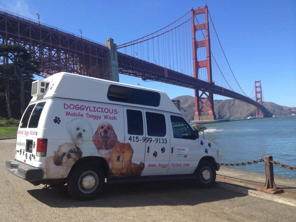 grooming san francisco doggylicious mobile wash 34 photos pet groomers grooming san francisco doggylicious mobile wash 34 photos pet groomers