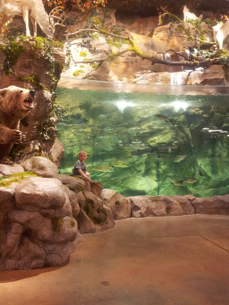 Bass Pro Shops Sporting Goods Cary, NC Yelp