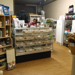 dogma gourmet dog bakery and boutique pet stores dogma gourmet dog bakery and boutique pet stores