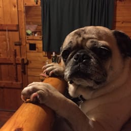Harpers Ferry Wv Dog Friendly Restaurants Harpers Ferry Wv Dog Friendly Restaurants