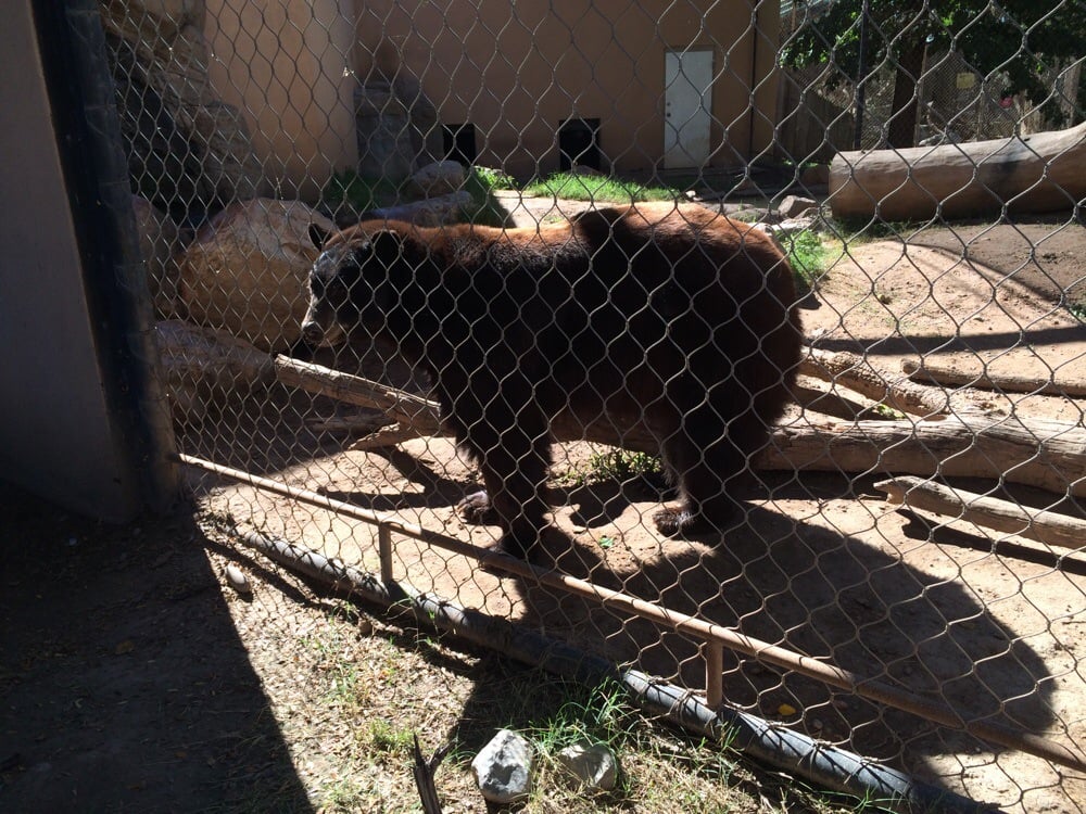 Alameda Park Zoo - 20 Photos - Zoos - Alamogordo, NM, United States