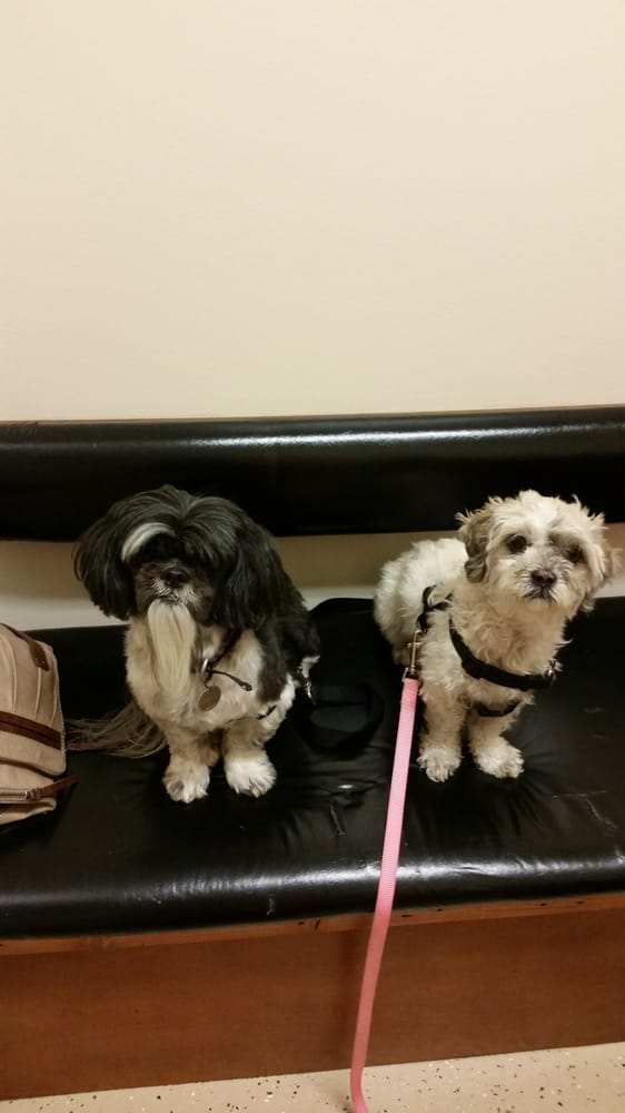 Park Community Animal Hospital 27 Photos Veterinarians 4029