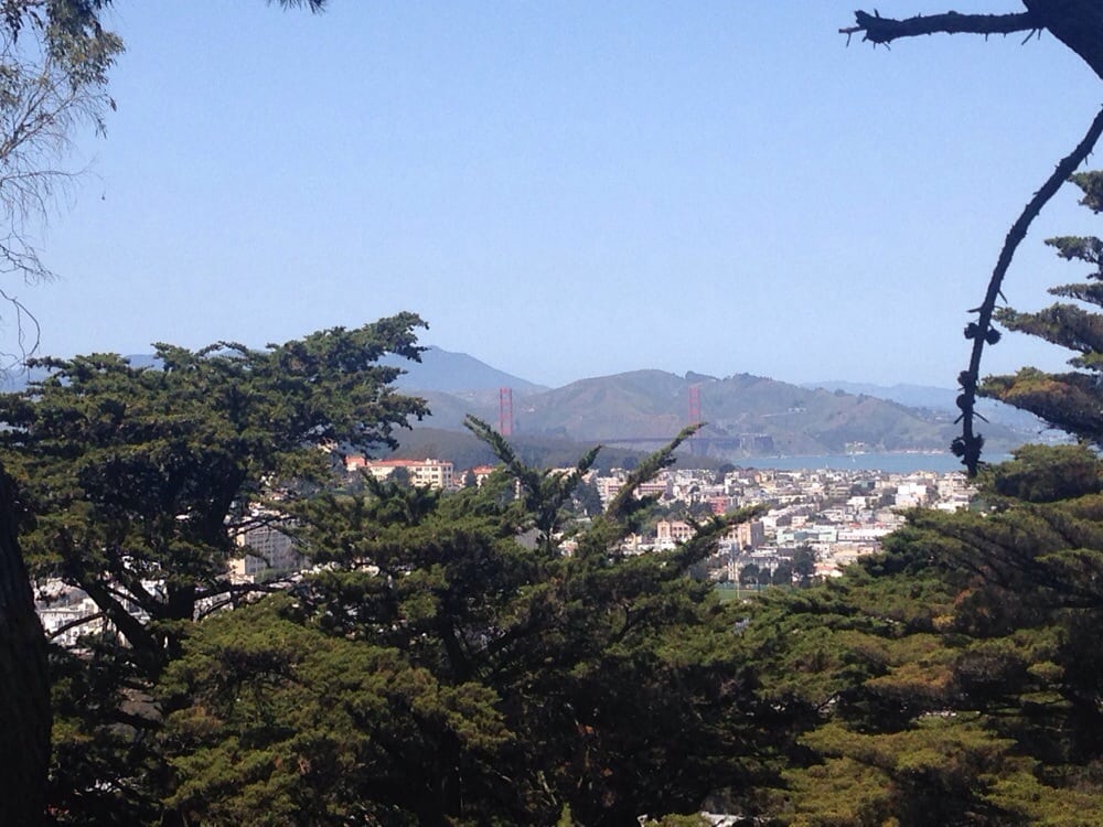 Buena Vista Park 164 Photos Parks The Haight San Francisco, CA