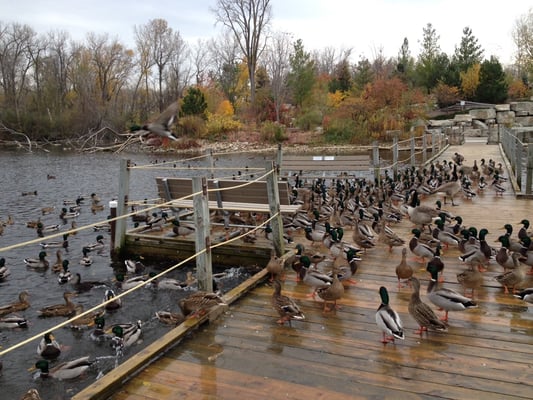 Bay Beach Wildlife Sanctuary Hiking Yelp