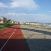 Rize sahil