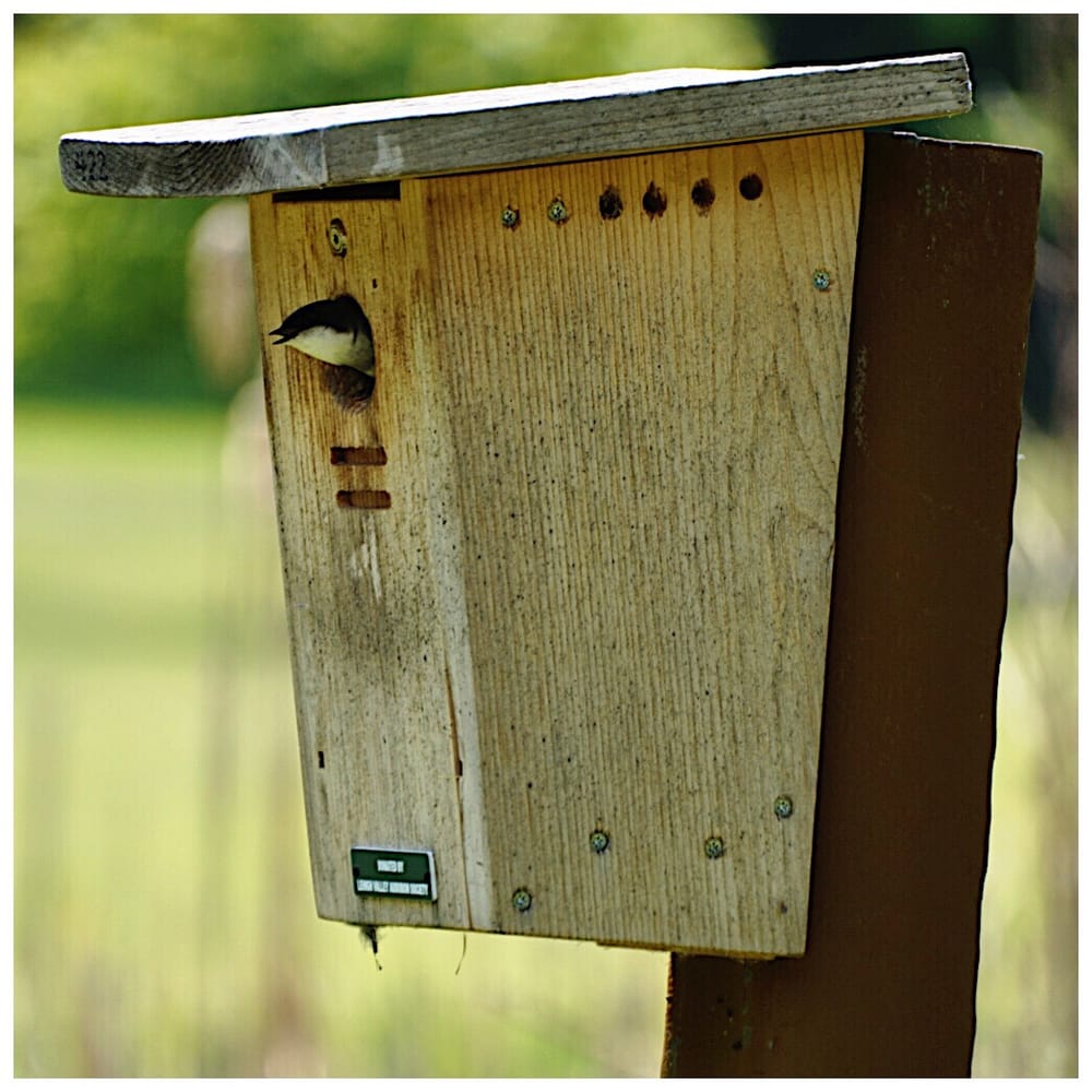 Allentown Fish Hatchery Local Flavor Allentown, PA Yelp