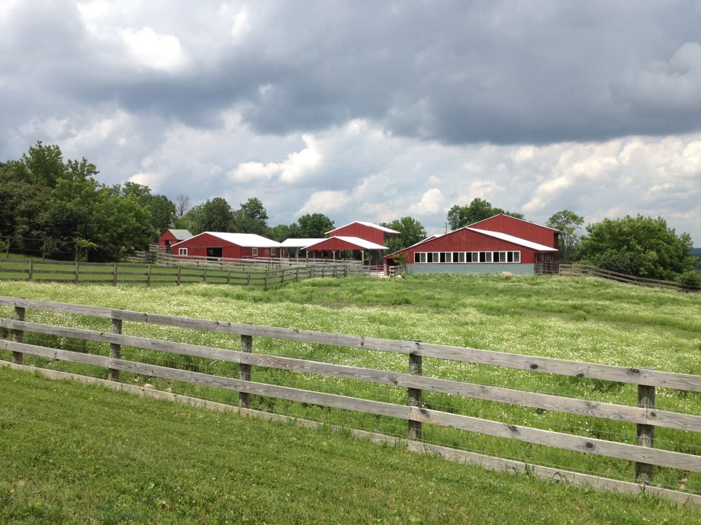 Farm Sanctuary 41 Photos Animal Shelters Watkins Glen, NY