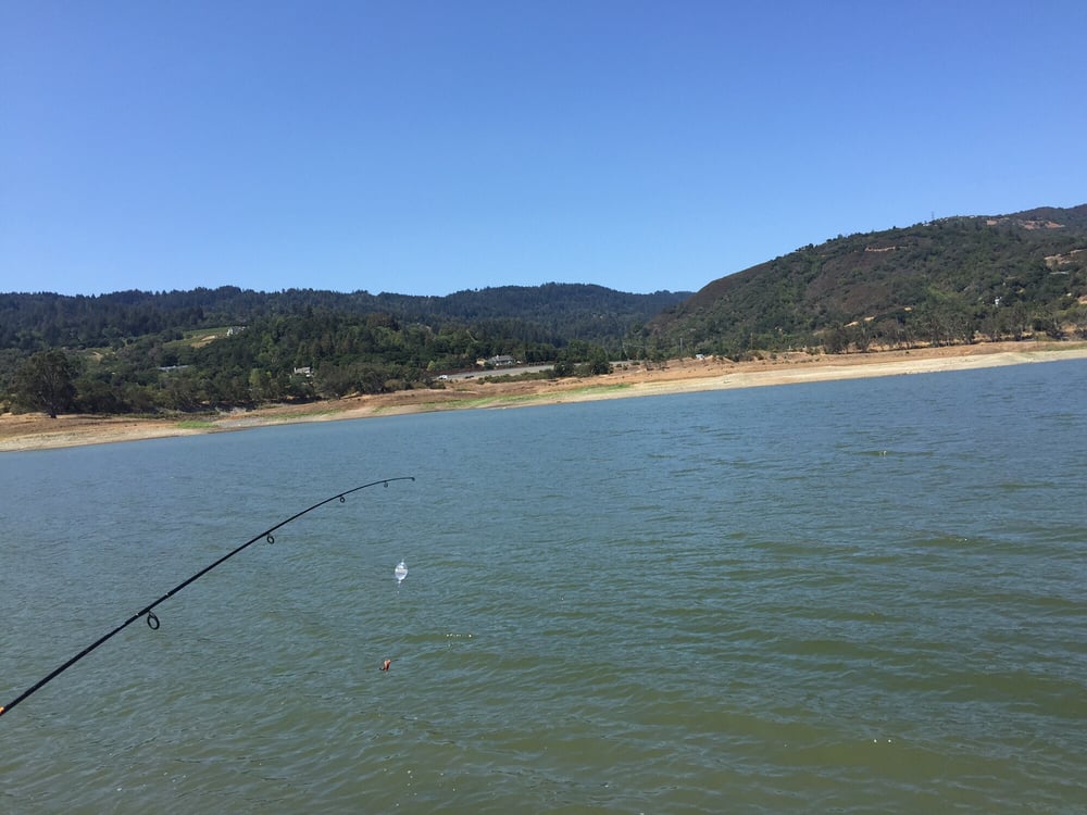 Lexington Reservoir County Park 70 Photos Parks 17770 Alma Bridge