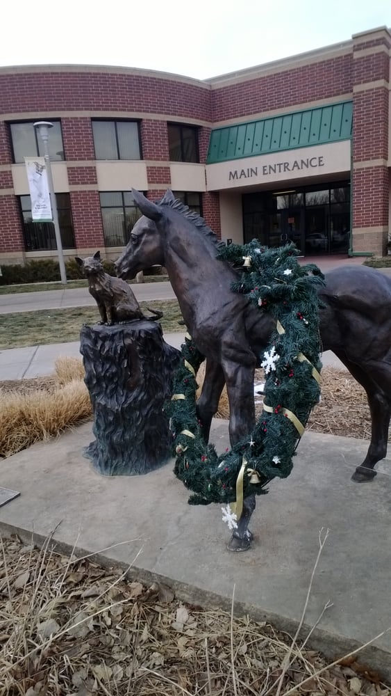 Colorado State University Veterinary Teaching Hospital Veterinarians
