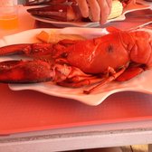 Red S Lobster Pot Restaurant Point Pleasant Beach Nj Red S Lobster Pot Restaurant Point Pleasant Beach Nj