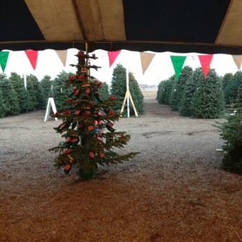 heidi s fresh christmas trees christmas trees modesto heidi s fresh christmas trees christmas trees modesto