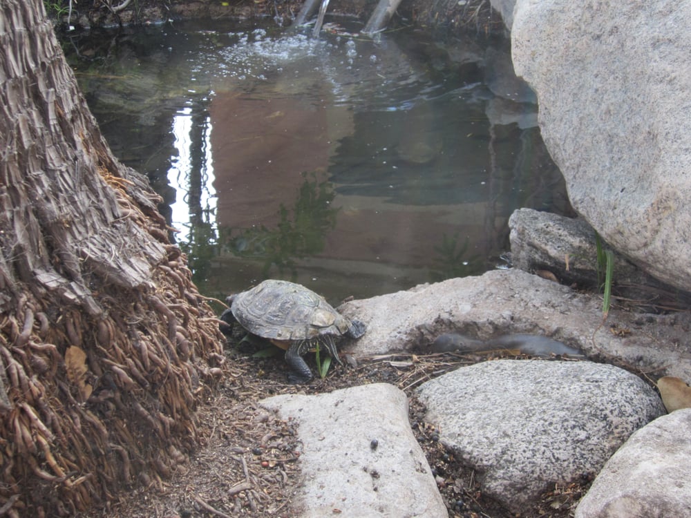 Fairway Garden Carwash Car Wash Walnut, CA Yelp