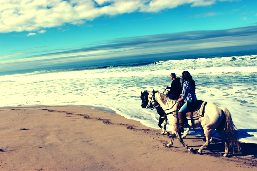Monterey Bay Equestrian Center 105 Photos Horseback Riding