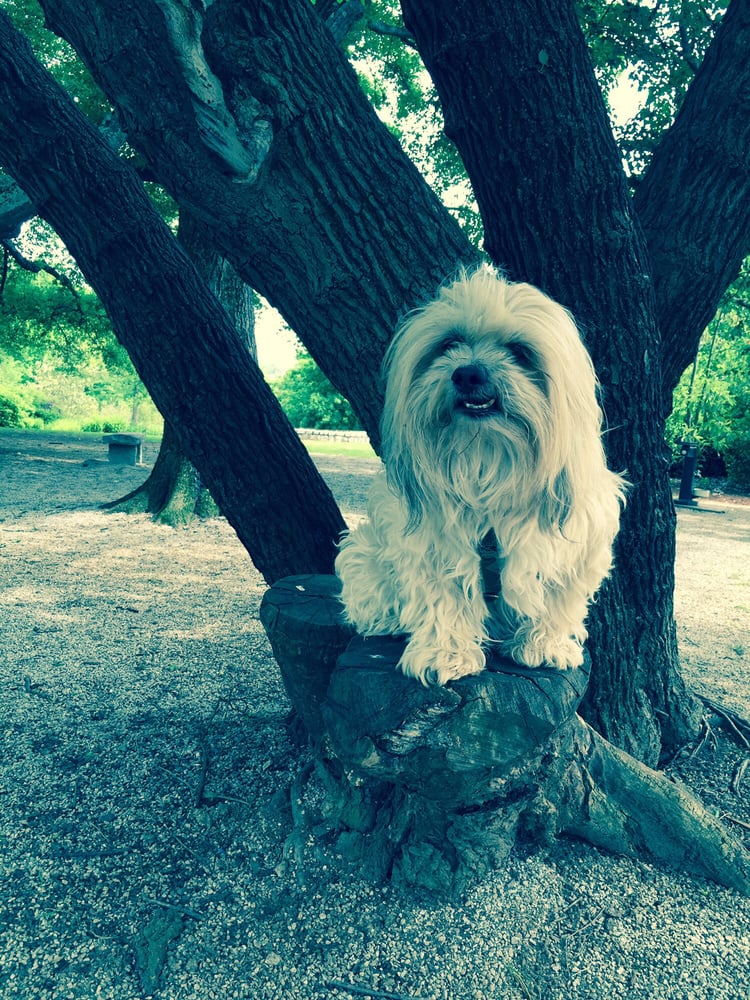 Cabbagetown Park Cabbagetown Atlanta, GA Yelp