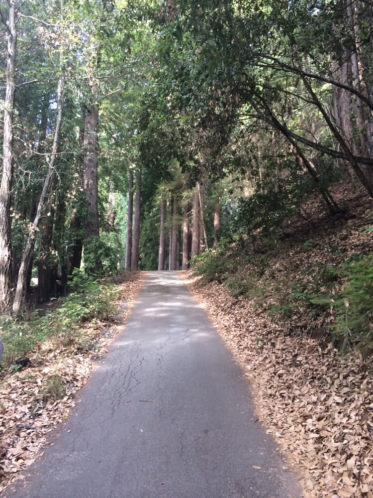 The Sequoia Retreat Center 39 Photos Venues & Event Spaces 11445