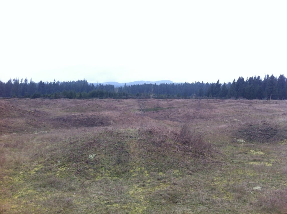 Mima Mounds Natural Area Preserve 17 Photos Hiking Littlerock, WA