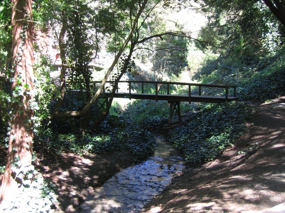 Photos for Codornices Park | Yelp