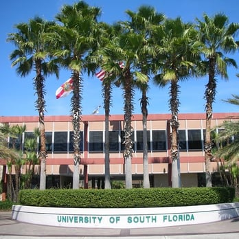 University of south florida essay