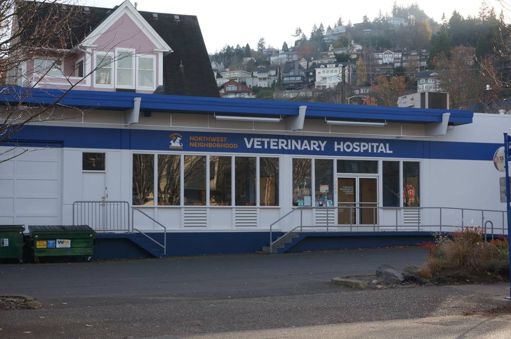 Northwest Neighborhood Veterinary Hospital Veterinarians Alphabet
