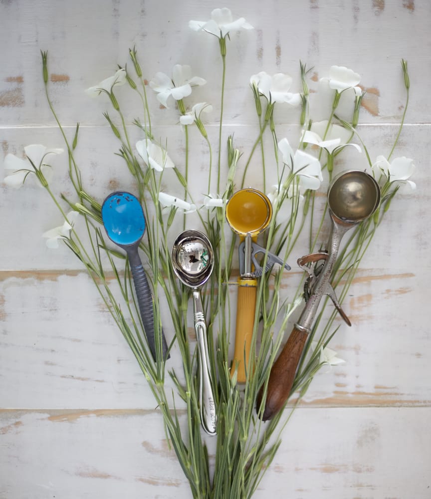 Sweet Scoops Homemade Ice Cream Ice Cream & Frozen Yogurt Sonoma