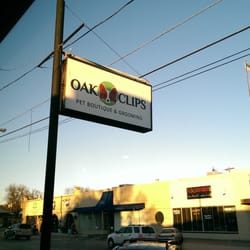 grooming dallas oak pet boutique grooming lower greenville dallas tx yelp grooming dallas oak pet boutique grooming lower greenville dallas tx yelp