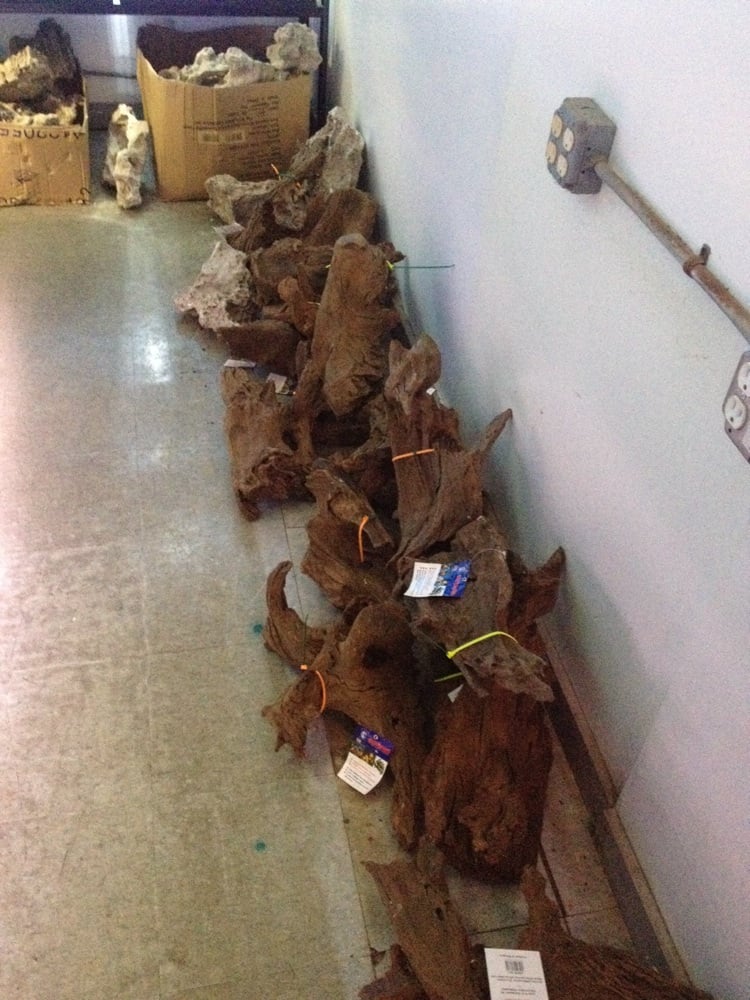 Animal Island Midlothian, IL Yelp