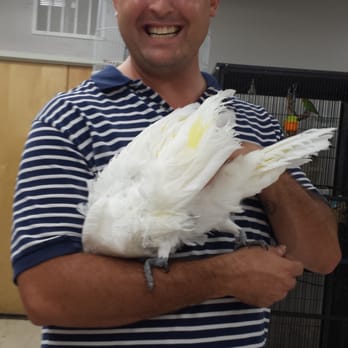 az bird store pet stores mesa az yelp az bird store pet stores mesa az yelp