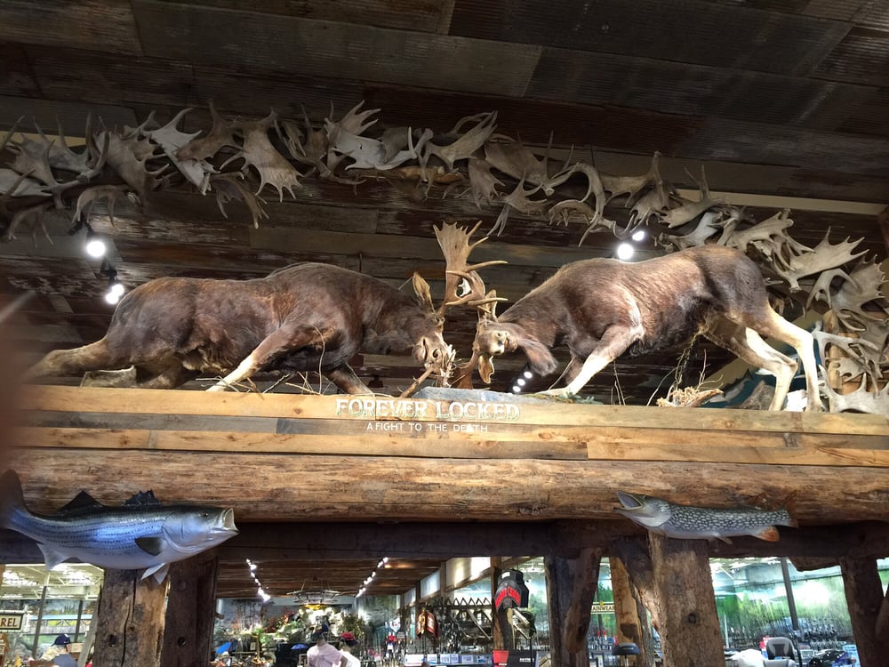 Bass Pro Shops Guns & Ammo Hooksett, NH Yelp