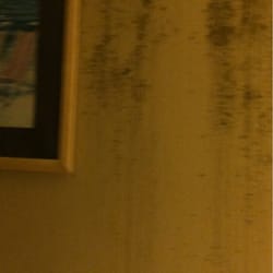 beach polynesian resort myrtle golf sc