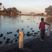 Palo Alto Duck Pond - Boy @ the Duck Pond - Palo Alto, CA, United States