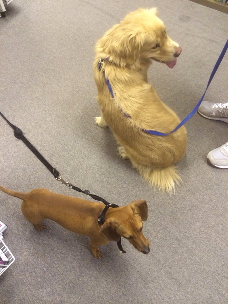 Premiere Video Videos & Video Game Rental Lower Greenville Dallas