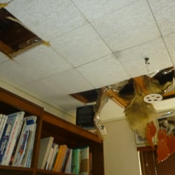 Lowells Wildlife Removal logo