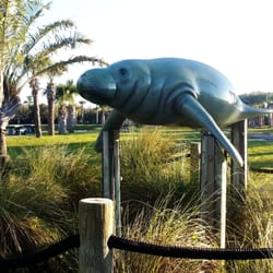 Manatee Sanctuary Park - Cape Canaveral, FL | Yelp