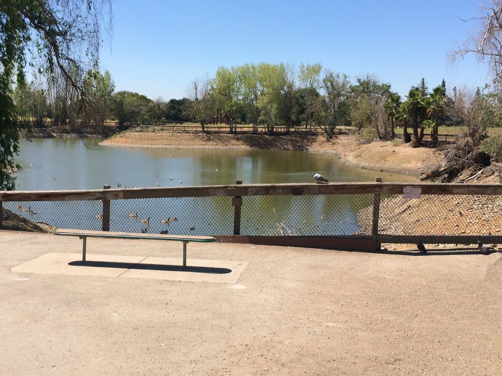 Penitencia Creek Park and Trail 125 Photos Parks Berryessa San