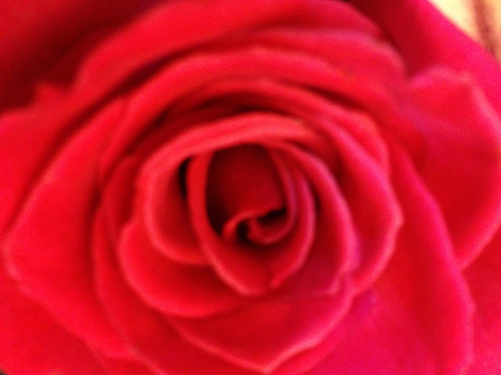 Laser Clinic of Chesapeake - Weight Loss Centers - Chesapeake, VA ...