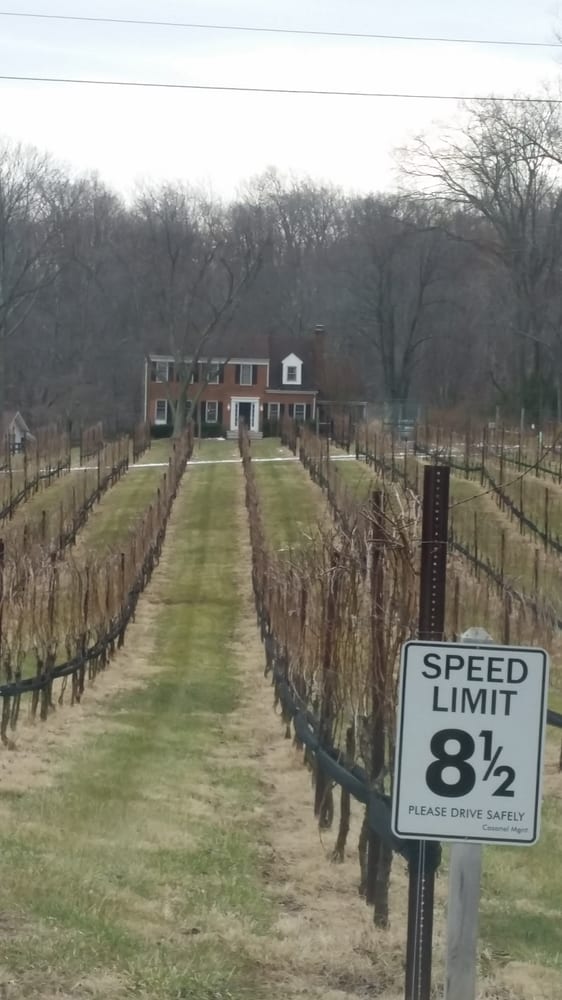 Casanel Vineyards Wineries Leesburg, VA Yelp