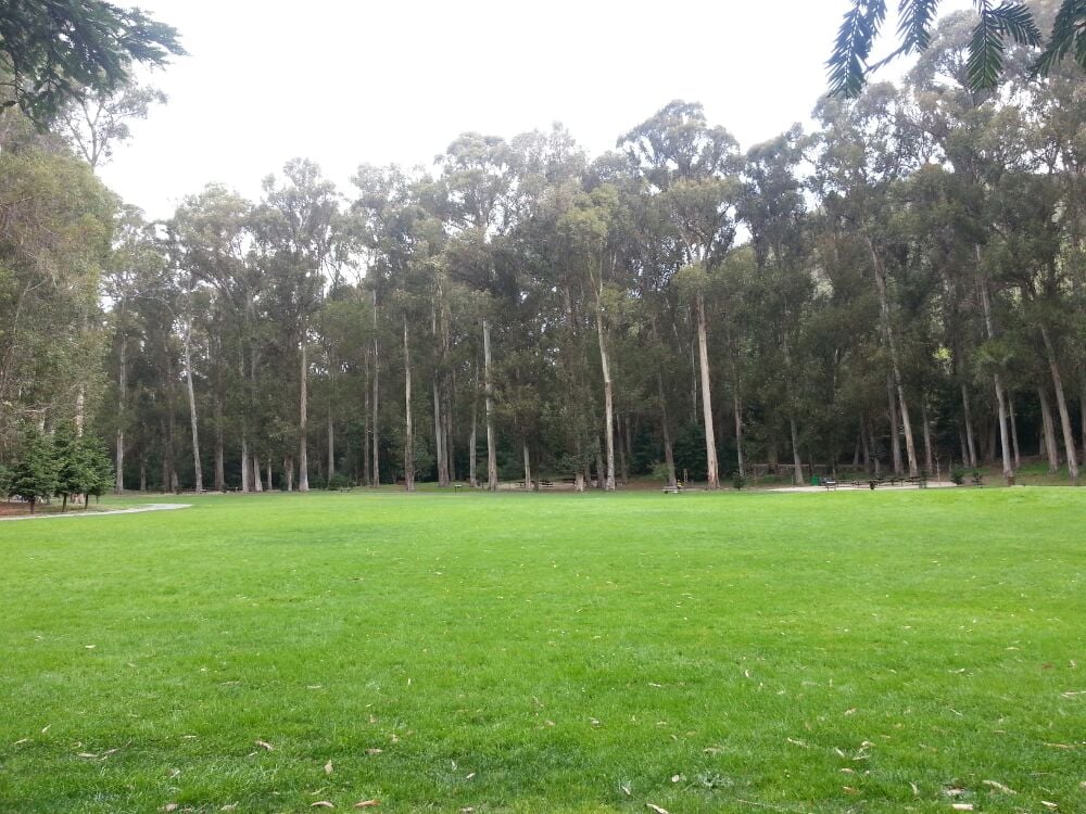 Kennedy Grove Regional Recreation Area Parks El Sobrante, CA