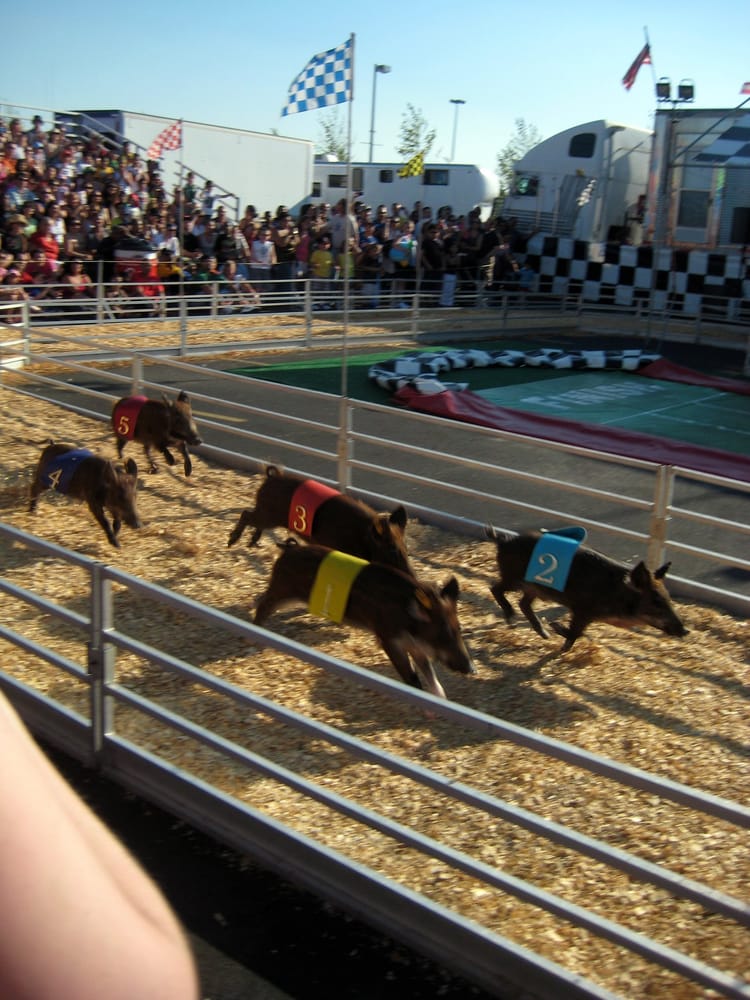 State Fair Meadowlands Festivals East Rutherford, NJ Reviews