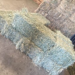 Dave's Hay Barn San Jose - San Jose, CA, United States