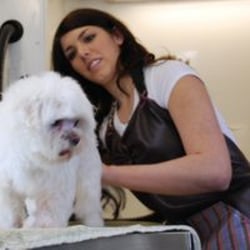 Yolanda's Mobile Pet Grooming logo