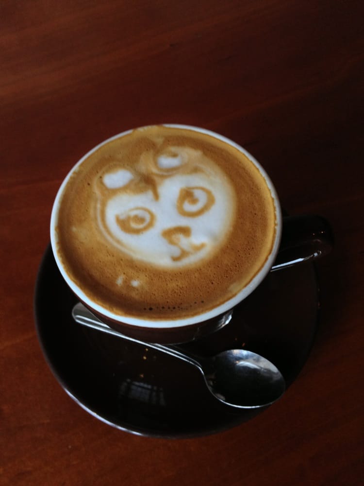 Catalina Coffee - 208 Photos - Coffee & Tea - Sixth Ward - Houston, TX ...