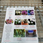 Pix of beautiful flower beds florist san antonio surabaya
