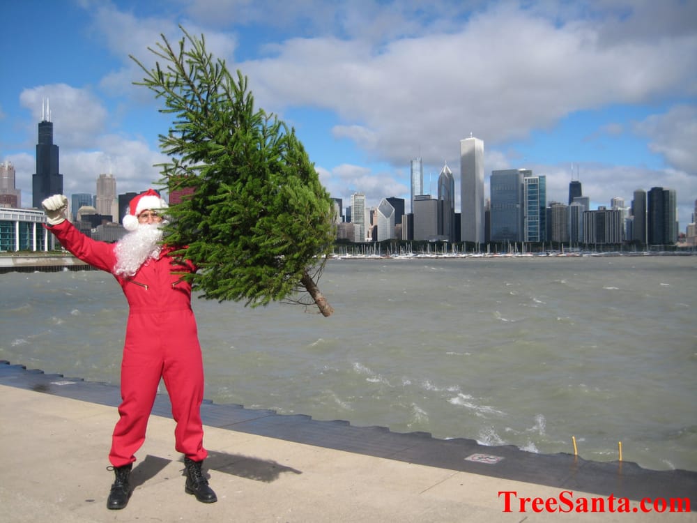 treesanta chicago christmas tree delivery christmas treesanta chicago christmas tree delivery christmas