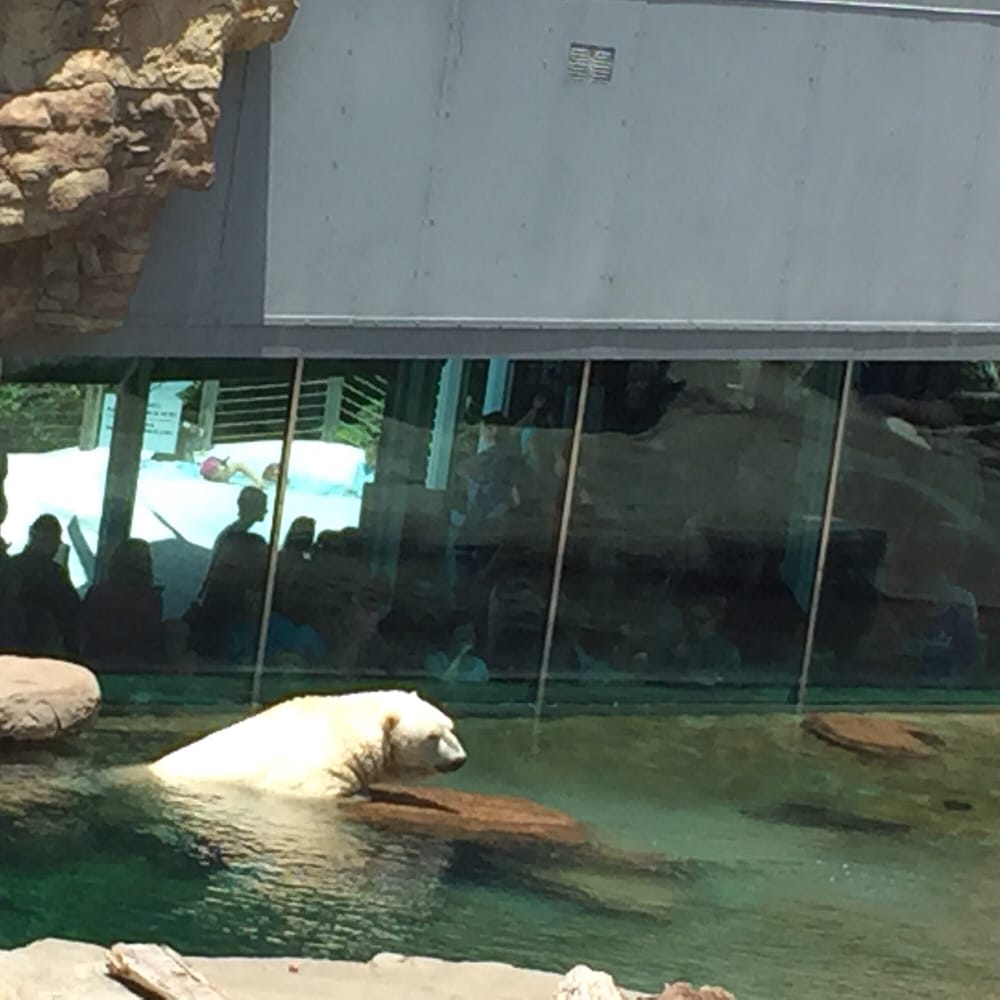 San Diego Zoo - 5167 Photos - Zoos - Balboa Park - San Diego, CA